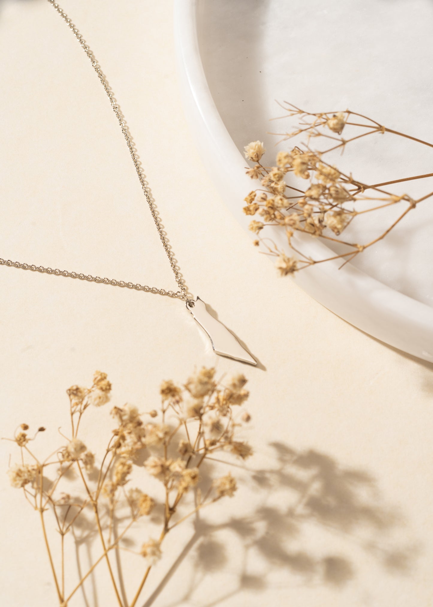 Origin Map Necklace | Palestine