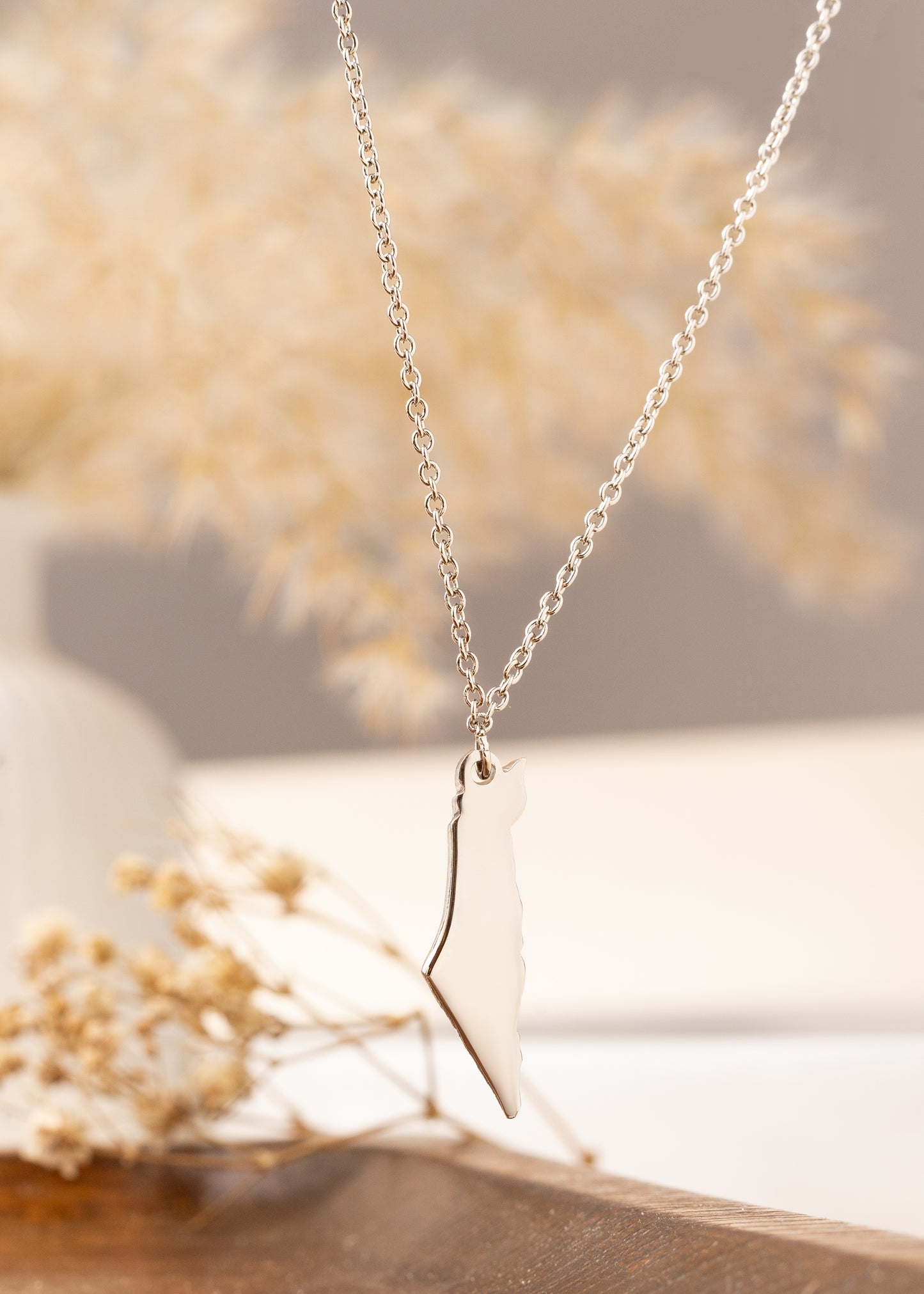 Origin Map Necklace | Palestine